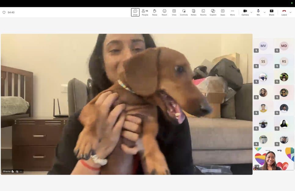 On a video call, a volunteer holds up a dachshund puppy from PAWS, Chennai